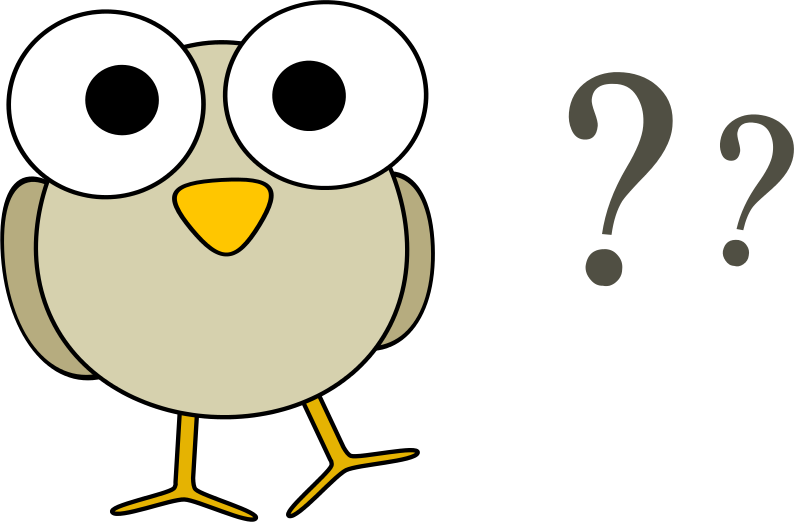 googley eye birdie has questions