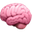 :Brain: